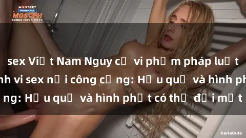 sex Việt Nam Nguy cơ vi phạm pháp luật khi thực hiện hành vi sex nơi công cộng: Hậu quả và hình phạt có thể đối mặt